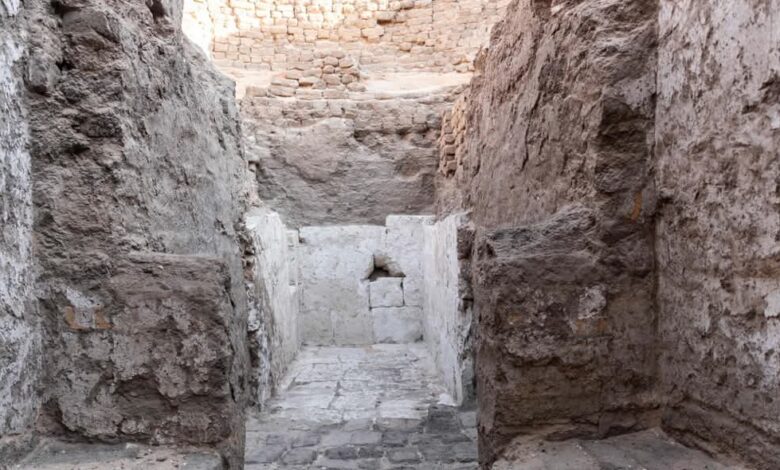 FB IMG 1741984400205