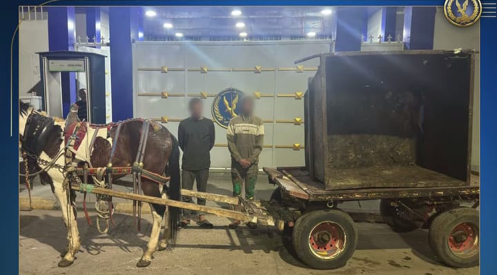 ضبط عاطلين سرقوا صندوق قمامة ببنها 1 IMG 20250319 WA0047