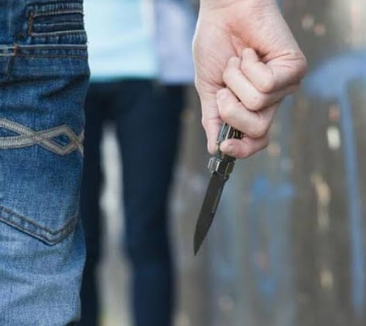 بسبب "قعدة " القهوة .. ضبط شخصين مزقوا بعض بالمطاوي بدمياط 1 IMG 20250320 WA0095