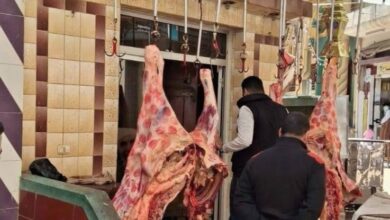 IMG ٢٠٢٥٠٣٢٦ ١١٥٦٣١