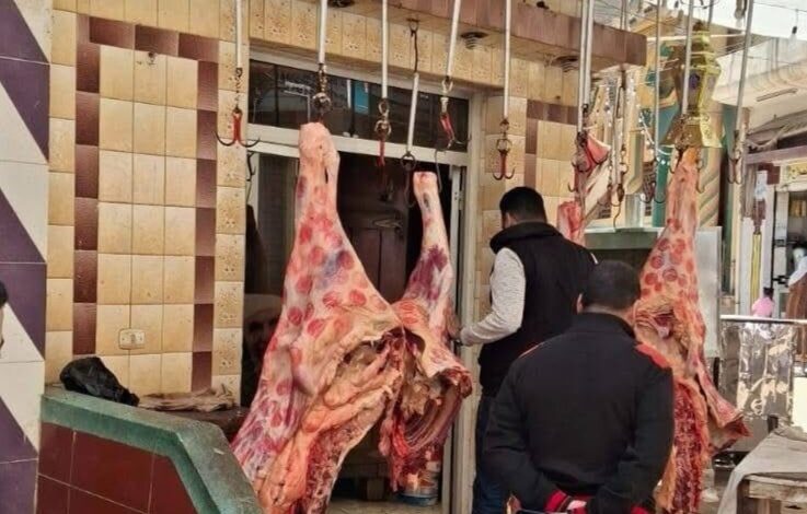 IMG ٢٠٢٥٠٣٢٦ ١١٥٦٣١