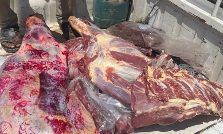 IMG ٢٠٢٥٠٣٣٠ ٢٢٥٢٢١