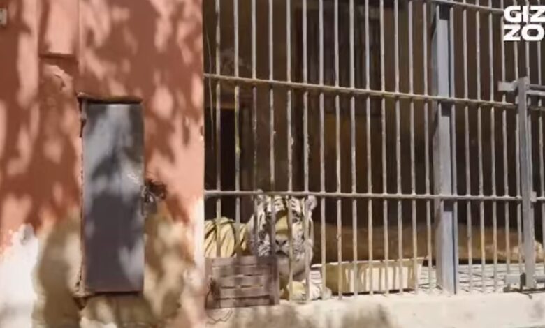 Screenshot ٢٠٢٥٠٣٢٩ ١٤٢٦٤٢ edit 153805036393149