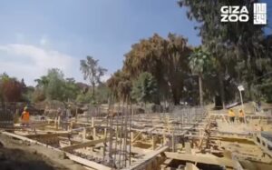 Screenshot ٢٠٢٥٠٣٢٩ ١٤٢٦٥٥ edit 153779958373159