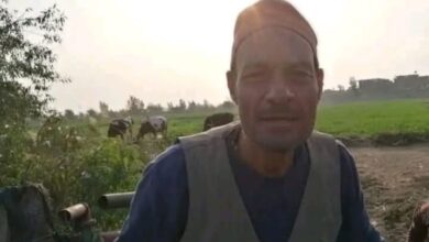 IMG ٢٠٢٥٠٤٢٦ ١٢٠٢٥٥