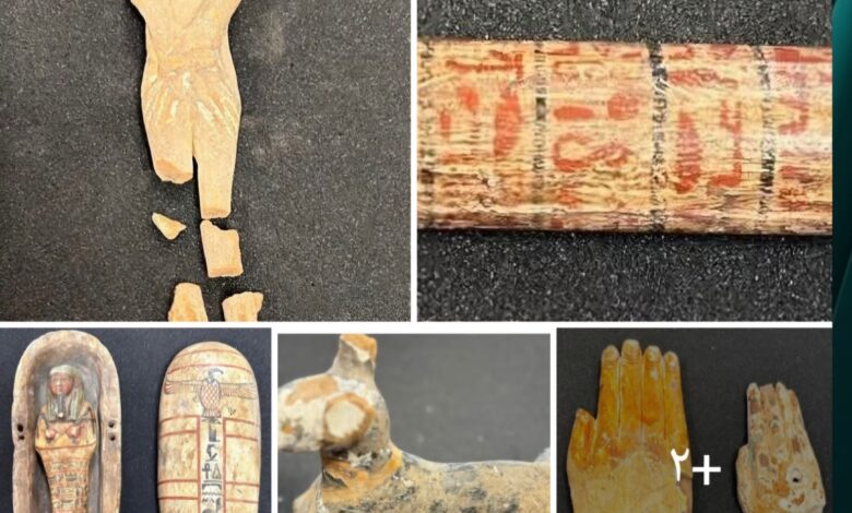 Screenshot ٢٠٢٥٠٥٢٩ ١٩١٦٤٣ One UI Home