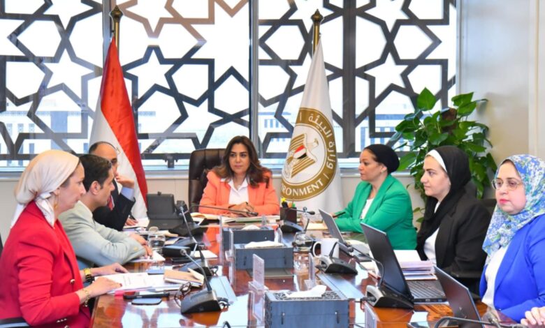 د. منال عوض تبحث الموقف الحالي للتعاون مع شركاء التنمية و المشروعات البيئية الحالية 1 IMG 20250729 WA0022