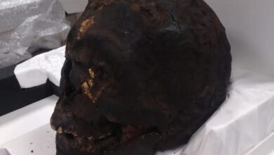 FB IMG 1754812377418