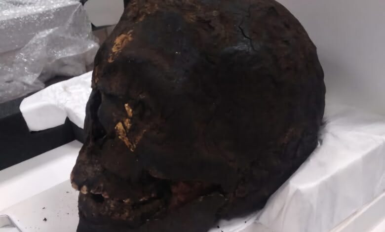 FB IMG 1754812377418