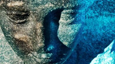 FB IMG 1755889071704