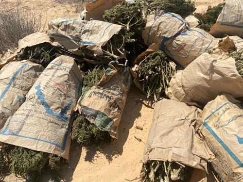 بعد ضبط مخدرات بـ795 مليون جنيه .. هيثم طوالة: الداخلية تحطم عرش أباطرة السموم وتكتب ملحمة جديدة في حماية عقول الشباب 1 IMG 20250823 WA0080