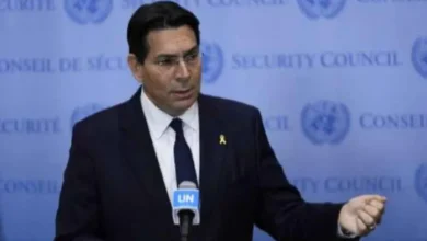 10312250 48a3 11f0 8d1a 8d1151b68cda file 1749852563698 304191579