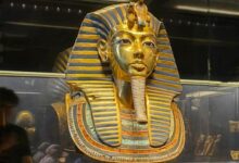 FB IMG 1757675174748