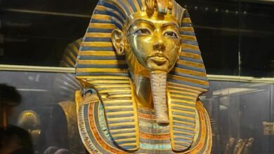 FB IMG 1757675174748