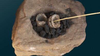 FB IMG 1757863013888