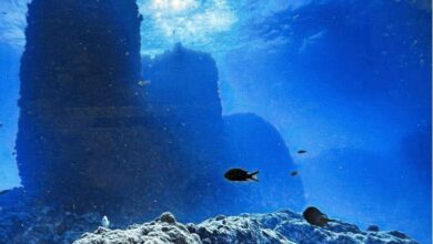 FB IMG 1758272935811