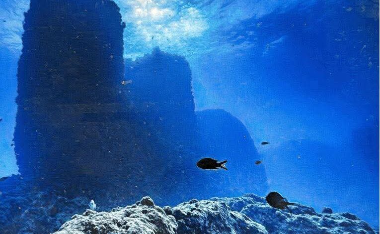 FB IMG 1758272935811