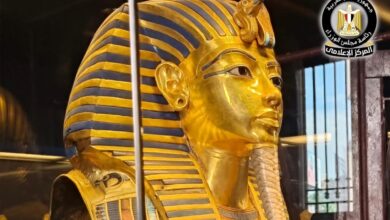 FB IMG 1758477608588