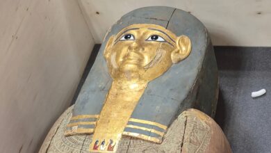 FB IMG 1764704750208