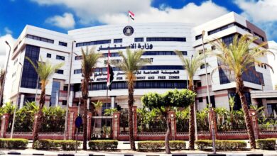 الهيئة العامة للإستثمار : إطلاق الدليل الإرشادي للحافز الإستثماري النقدي لدعم المشروعات الصناعية في مصر 3 FB IMG 1765096795901