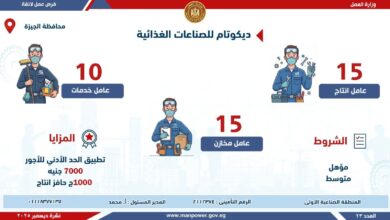 وظائف جديدة في شركات خاصة.. بالتعاون مع مديرية عمل الجيزة 11 FB IMG 1765621994615