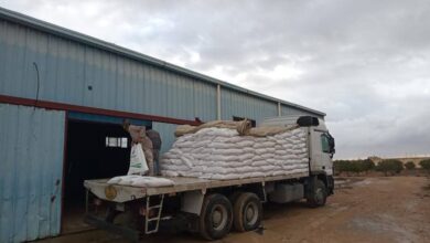 FB IMG 1766404455038