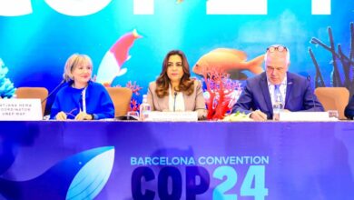 لأول مرة مصر تتسلم رئاسة مؤتمر COP24 لاتفاقية برشلونة لحماية المتوسط، بمشاركة 21 دولة ومنظمات إقليمية و دولية 2 IMG 20251202 WA0012