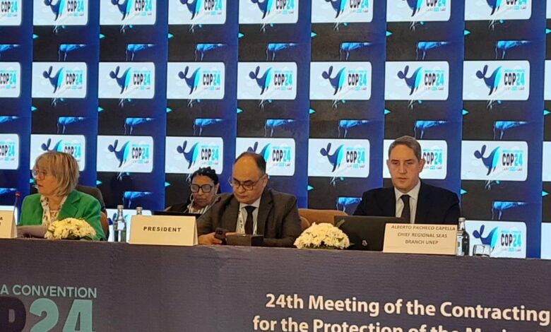 مؤتمر "برشلونة" COP24: مناقشات مكثفة لإستعراض التقدم المحقق وخطط عمل 2030 لحماية بيئة المتوسط 1 IMG 20251203 WA0045