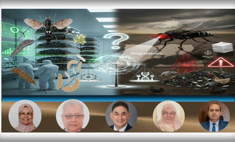 ذبابة "الجندي الأسود": بين ثورة الإستدامة و مخاطر الغزو البيولوجي و تراكم السموم 1 IMG 20251228 WA0014