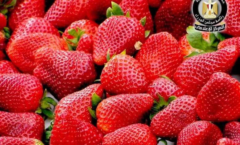 FB IMG 1768420037626