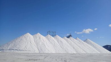 FB IMG 1768567348880