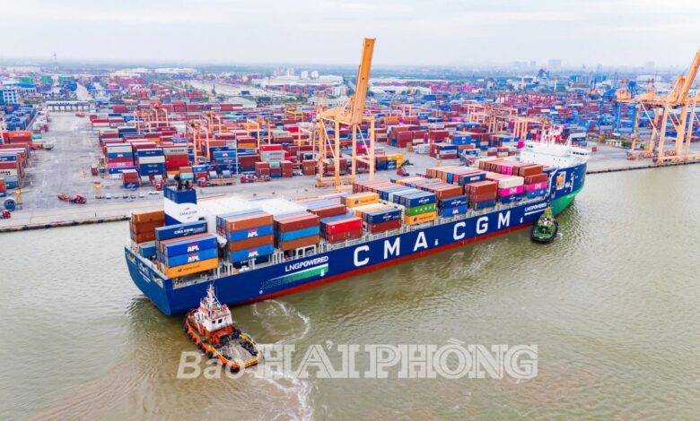 الإستقلال الإستراتيجي لفيتنام يبلغ آفاقًا جديدة 1 IMG 20260119 WA0086