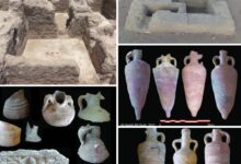 Screenshot ٢٠٢٦٠١٠٦ ١٤٤٩٤٠ Facebook