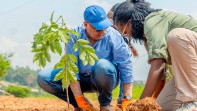 FB IMG 1769930984842