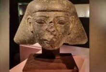 FB IMG 1770410574434