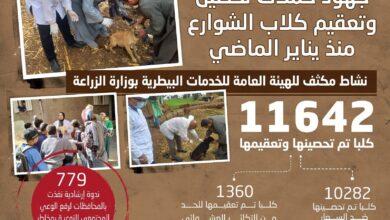 FB IMG 1771233765229