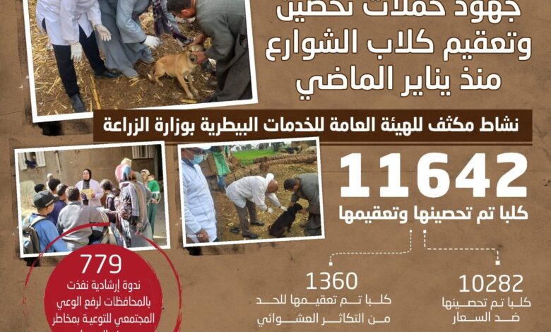"الزراعة" تعلن تعقيم أكثر من 11 ألف كلب حر منذ يناير .. وتنفيذ 779 ندوة إرشادية لرفع الوعي المجتمعي 1 FB IMG 1771233765229