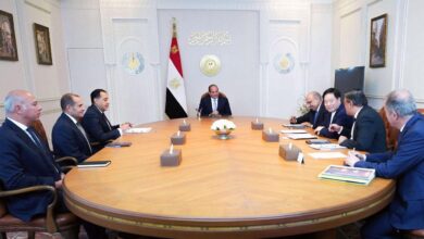 الرئيس عبد الفتاح السيسي يستقبل اليوم السيد "تشو جونج شن" رئيس مجلس إدارة شركة GCL الصينية 6 FB IMG 1772047013652