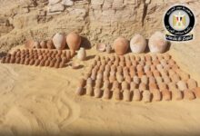 FB IMG 1772223420319