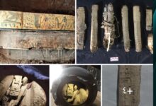 Screenshot ٢٠٢٦٠٢٢٨ ١٢١٤١٠ One UI Home