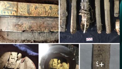 Screenshot ٢٠٢٦٠٢٢٨ ١٢١٤١٠ One UI Home