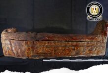 FB IMG 1772827573849