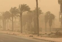 FB IMG 1773514779736