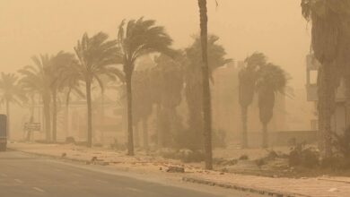 FB IMG 1773514779736