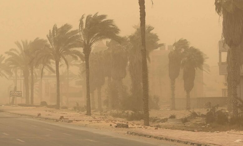 FB IMG 1773514779736