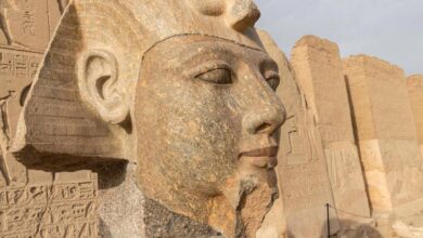 FB IMG 1773891956860