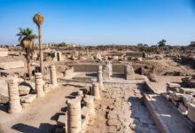 FB IMG 1774105242928