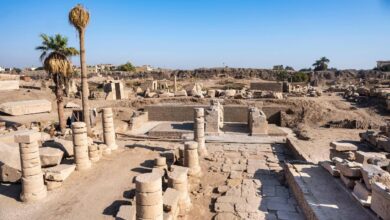 FB IMG 1774105242928