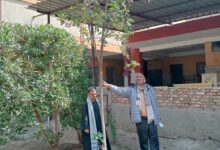 ضمن مبادرة 100 مليون شجرة.. محافظة قنا تطلق مشروع "تكويد الأشجار" 2 IMG 20260325 WA0090