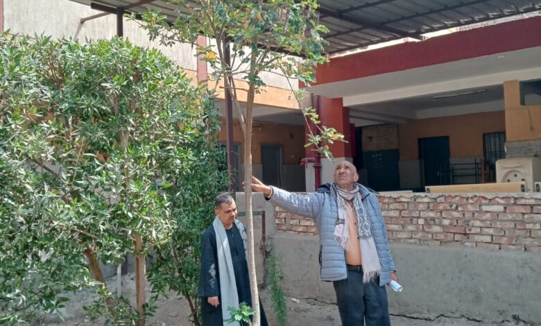 ضمن مبادرة 100 مليون شجرة.. محافظة قنا تطلق مشروع "تكويد الأشجار" 1 IMG 20260325 WA0090